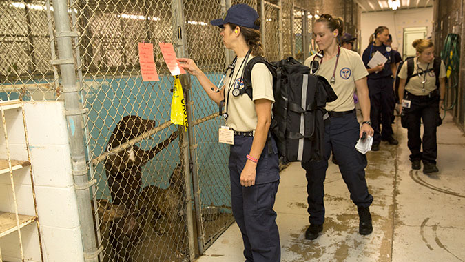 Members of the National Veterinary Response Team (NVRT) examine symptoms from pets following a simulated disaster. The NVRT joined more than 100 state, local and federal responders from across the United States in training at the CDP. The center was able to coordinate training with its local humane