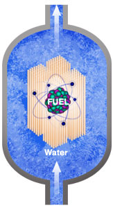 Water and fuel in primary coolant system