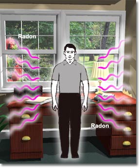 Person indoors exposed to radiation from radon.